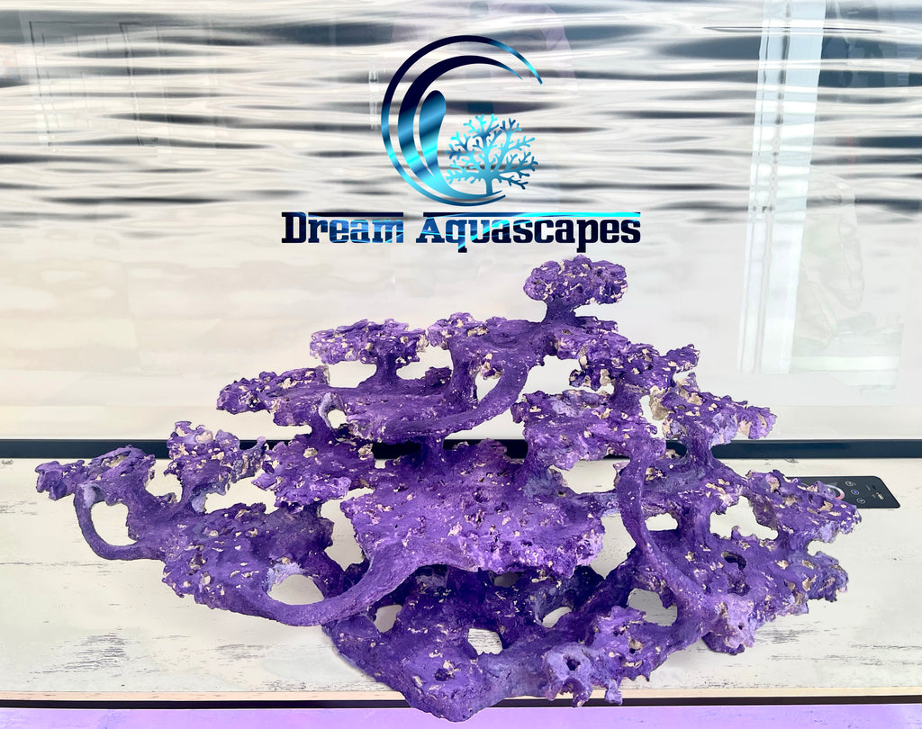 Divinity Aquascape